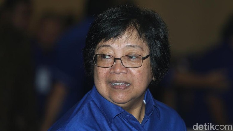 Jejak Menteri Siti 'Gebuk' Pembakar Hutan dan Menang Rp 466 Miliar
