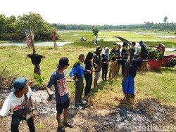 Festival Memeden Sawah, Melestarikan Lahan Sawah di Karimunjawa