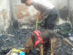 Cerita Anjing Pelacak Temukan Jasad Bocah Terbakar di Bandung