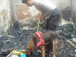 Cerita Anjing Pelacak Temukan Jasad Bocah Terbakar di Bandung