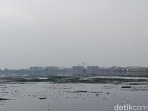 Melihat Kondisi Waduk Pluit Terkini