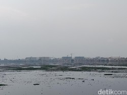 Melihat Kondisi Waduk Pluit Terkini