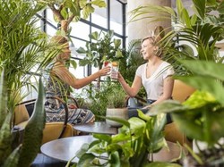 Wah, Di Bar Ini Bisa Minum Cocktail Sambil Meghirup Udara Bersih dan Segar!