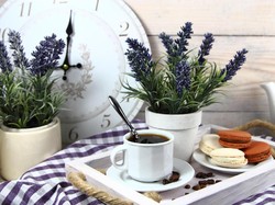 Ini Jenis Bunga yang Tengah Hits Jadi Topping Makanan Kekinian