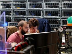 Harga Bitcoin Masih Tiarap, Kripto Lain Juga Nyungsep Semua