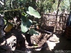 Kasus Pria Tewas dengan Kemaluan Terpotong, Polisi Periksa 7 Saksi