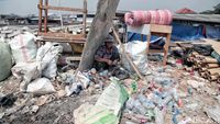 Cuaca Buruk, Nelayan Muara Angke Jadi Pemulung