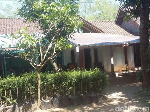 Ini Sosok Mail, Korban Tewas dengan Kemaluan Terpotong