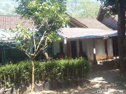 Ini Sosok Mail, Korban Tewas dengan Kemaluan Terpotong