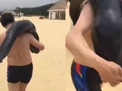 Terekam Kamera Bawa Pulang Lumba-lumba, Pria China Diburu Polisi