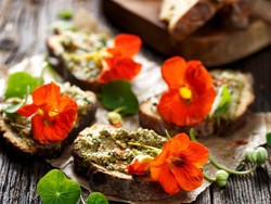 Apa Saja Sih Jenis Bunga yang Aman untuk Dimakan?