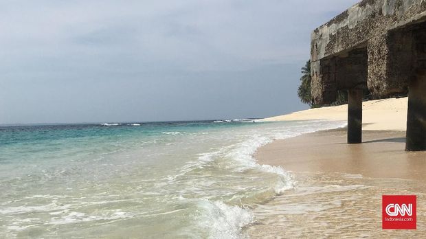 Dikawal Lumba-Lumba di Perairan Pulau Pisang
