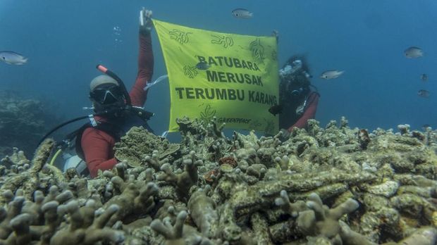 Pete Willcox, Pelaut Penjaga Bumi dan Pencinta Keluarga