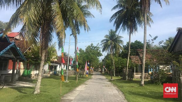 Dikawal Lumba-Lumba di Perairan Pulau Pisang