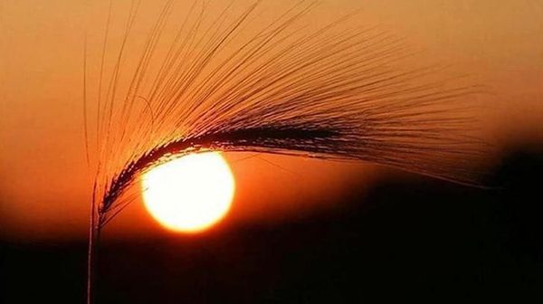 Deretan Foto Ini Wajib Dilihat Dua Kali