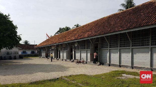 Dikawal Lumba-Lumba di Perairan Pulau Pisang
