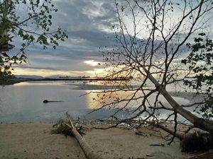 Menanti Senja di Tembok Berlin, Sorong
