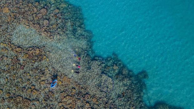 Kerusakan terumbu karang di Taman Nasional Karimun Jawa terjadi akibat penggunaan potas dan cantrang oleh nelayan, coral bleaching, dan kapal tongkang yang berlabuh di kawasan konservasi tersebut.