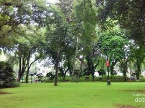 Taman Suropati yang Tidak Pernah Bikin Bosan