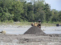 Dilema Pemda Kejar Duit dari Komoditas Vs Jaga Kelestarian Hutan