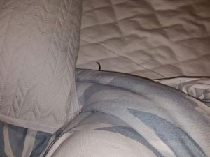 Hiii... Bangun Tidur, Remaja ini Dikagetkan Piton di Kasur