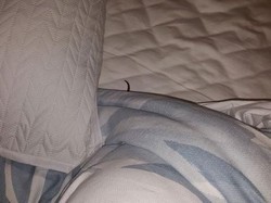 Hiii... Bangun Tidur, Remaja ini Dikagetkan Piton di Kasur