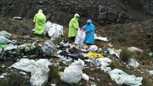 Foto: Sampah di Puncak Tertinggi Indonesia