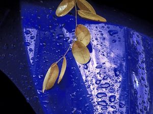 After the Rain