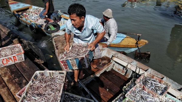 Sebentar Lagi Jakarta Akan Punya Pasar Ikan Seperti di Jepang