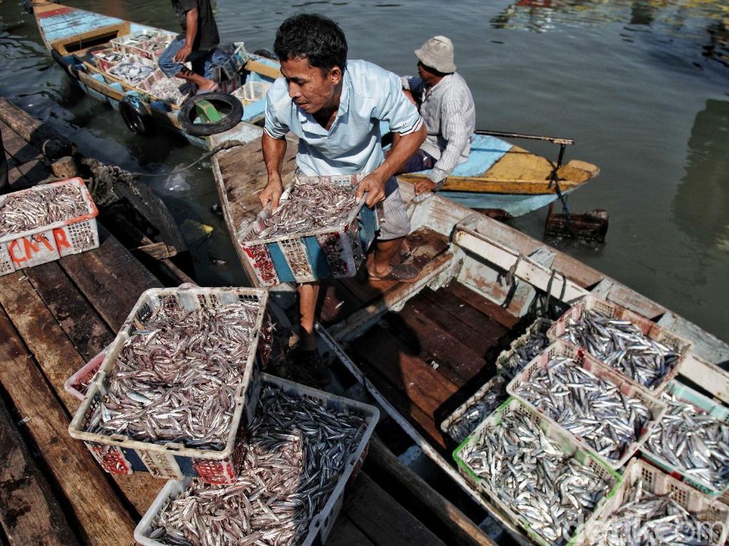 Sebentar Lagi Jakarta Akan Punya Pasar Ikan Seperti di Jepang