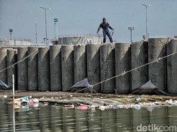 Apa Kabar Pembangunan Tanggul Pantai Jakarta? Begini Progresnya