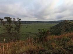 Promo Wisata dengan Wanita Seksi, Menteri Pariwisata Uganda Dikecam