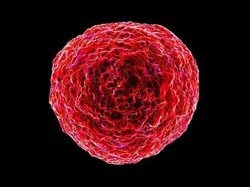 Ilmuwan Peringatkan Kembalinya Ancaman Virus Kuno Kerabat HIV