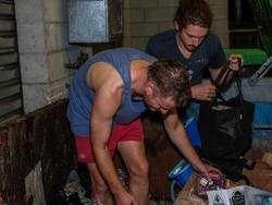 Mengandalkan Sumber Makanan di Tempat Sampah di Australia