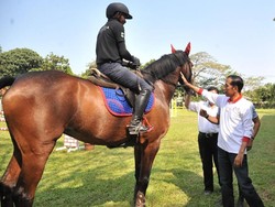 Jokowi Beri Semangat ke Atlet Berkuda Asian Games