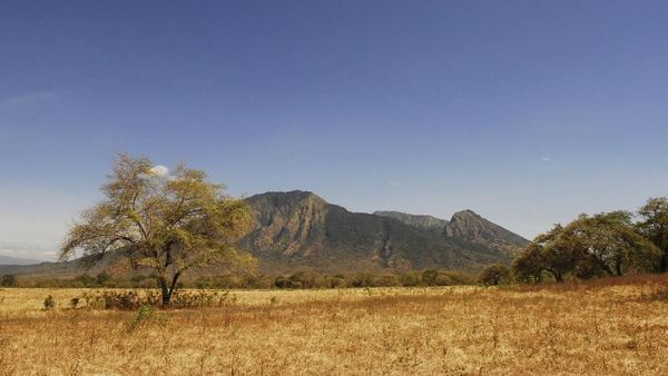 Foto: Bukan Wakanda, Ini di Indonesia