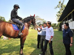 Jokowi Harap Peralatan Olahraga Bisa Diproduksi di Dalam Negeri