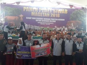 Ke Magetan, Mentan Panen 1.100 Anak Sapi
