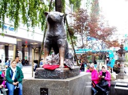 Turis Serobot Antrean Foto di Patung Hachiko, Warganet Geram