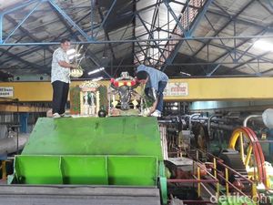 Persembahan Kepala Kerbau, Awali Musim Giling PG Soedhono Ngawi