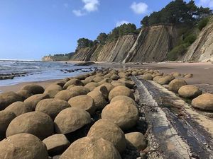 Foto: Pantai Ini Penuh Bola Bowling
