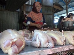 Jelang Ramadan, Harga Daging Ayam dan Telur di Banyuwangi Naik