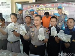 Baby Lobster Senilai Rp 1,5 Miliar Diamankan Polisi Banyuwangi