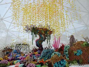 Menelusuri Dunia Bawah Laut ala Mulyana The Mogus