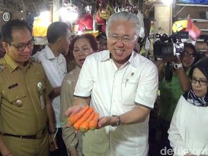 Menteri Enggartiasto Bantah Mau Nyaleg di 2019