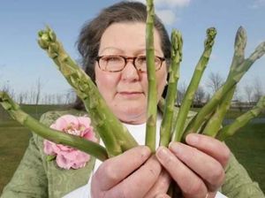 Wanita Ini Ramal Masa Depan Pakai Asparagus, Apa Prediksinya di Tahun 2018? Wanita Ini Ramal Masa Depan Pakai Asparagus, Apa Prediksinya di Tahun 2018?