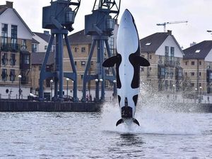 Keren! Kapal Ini Berbentuk Paus