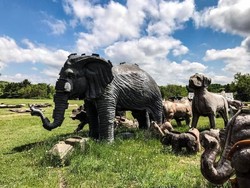 Halaman Belakang Pabrik yang Tidak Biasa