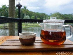 Serunya Hangout Bareng Pasangan di 5 Kafe Hits di Bogor