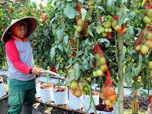 Expo Nasional Industri Pertanian